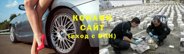 гашик Абаза